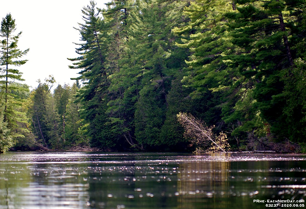 63237CrLeUsm - Kayaking the Black River in Washago with John - Deb